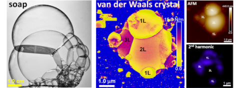 Variant equilibrium laws in atomically thin crystals: Crystal bubbles behave differently