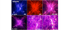 Dark Sector Cosmology and Particle Physics Synergies