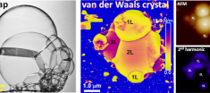 Variant equilibrium laws in atomically thin crystals: Crystal bubbles behave differently