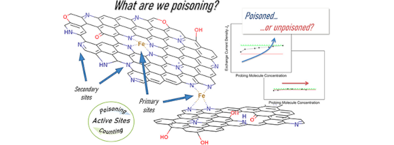 Exchange Current Density as an Effective Descriptor of Poisoning of Active Sites in Platinum Group Metal-Free Electrocatalysts for Oxygen Reduction Reaction