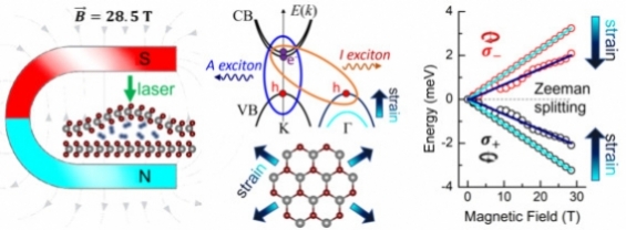 Strained, not stirred... Hybridisation of 2D excitons by stretching