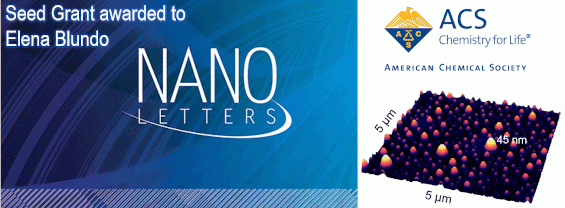 Nano Letters (American Chemical Society) award to Elena Blundo