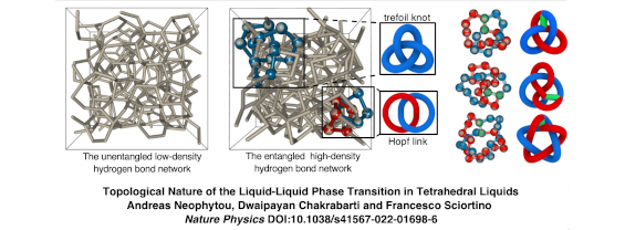 Topological Nature of the Liquid-Liquid