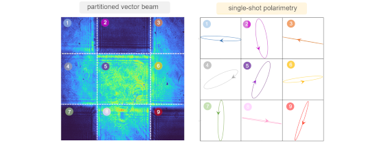 Single-shot polarimetry of vector beams by supervised learning