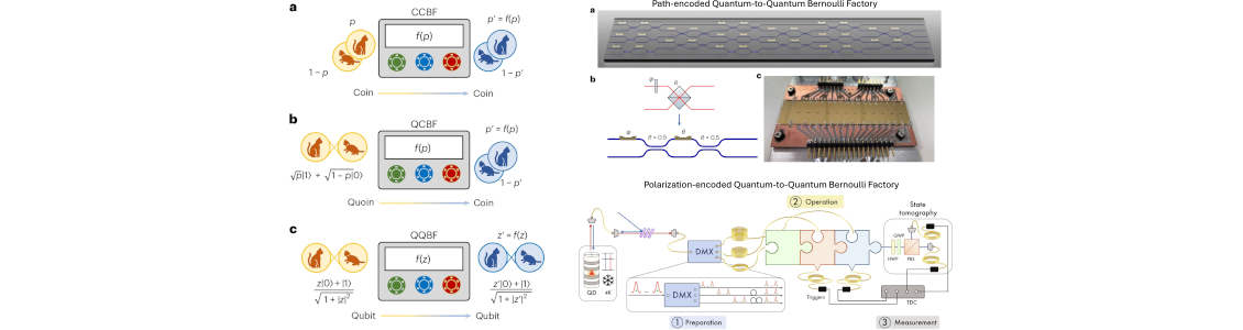 A novel photonic approach to randomness manipulation in quantum computers: quantum-to-quantum bernoulli factories