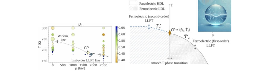 Ferroelectricity Sheds Light on the Liquid-Liquid Phase Transition in Supercooled Water