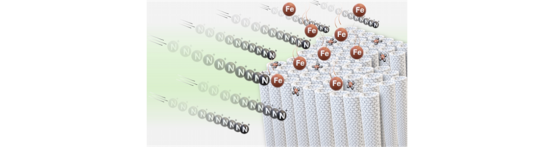 Non-Chemical Route to PGM-free via N+ Ion Implantation in Vertically Aligned Carbon Nanotubes.