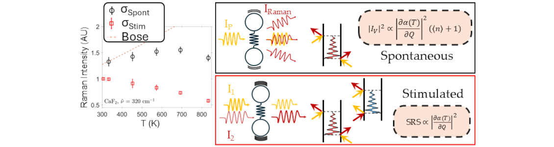 New insights into Raman thermometry