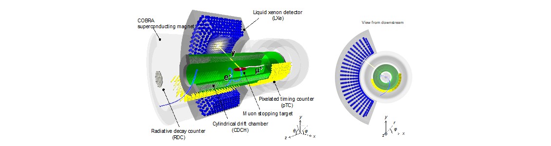 SEARCHING FOR NEW PHYSICS: NEW RESULT FROM THE MEG II COLLABORATI