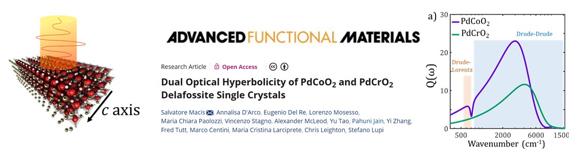 Dual Optical Hyperbolicity of PdCoO2 and PdCrO2 Delafossite Single Crystals