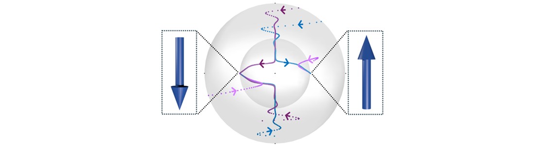 Ising computing by the polarization of light
