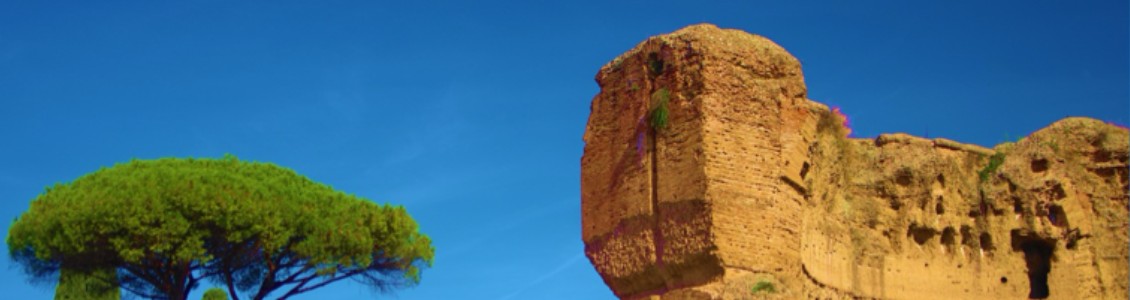 Workshop on Quantum Networks and Complexity