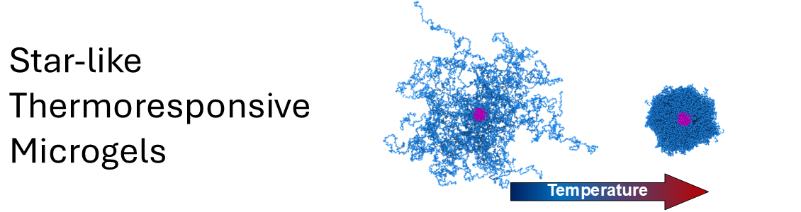 Una nuova classe di colloidi soffici i microgels a stella