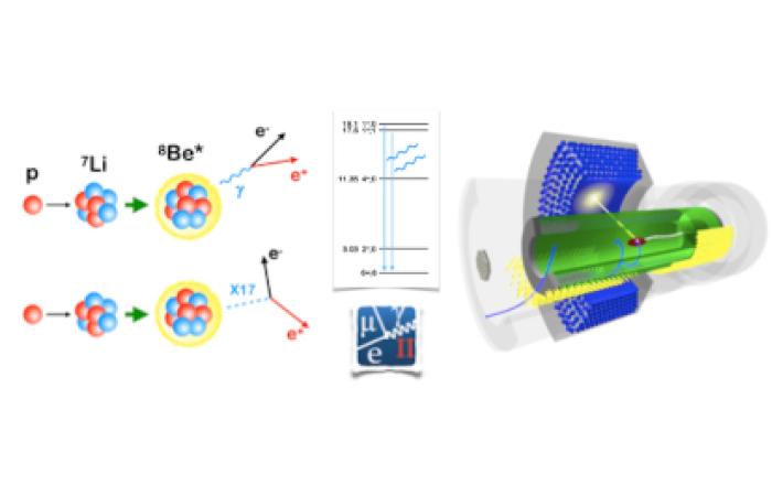 Meg II presents its first result in the search for a new Boson, the X1