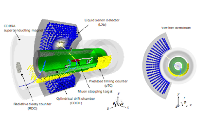 SEARCHING FOR NEW PHYSICS: NEW RESULT FROM THE MEG II COLLABORATI