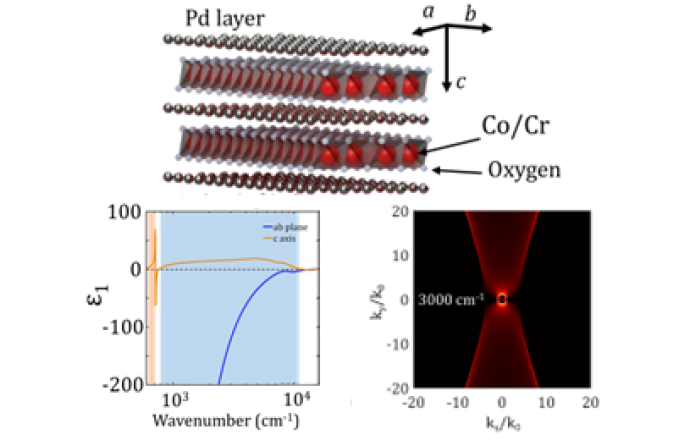 Dual Optical Hyperbolicity of PdCoO2 and PdCrO2 Delafossite Single Crystals