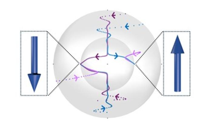 Ising computing by the polarization of light
